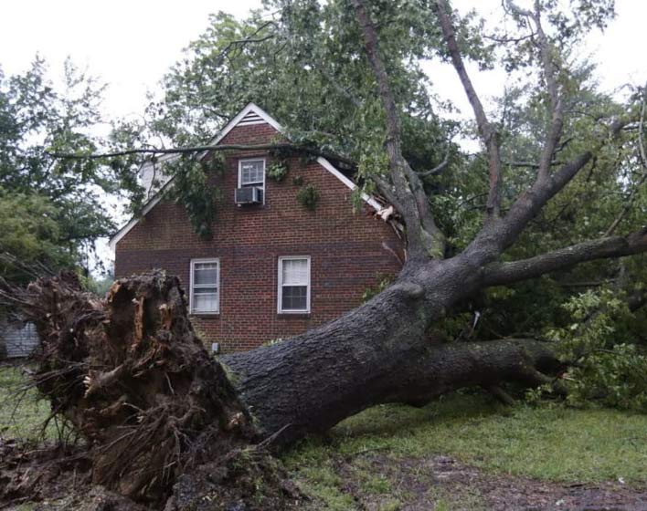 Home owner in need of Emergency Tree Removal Services in Atlanta